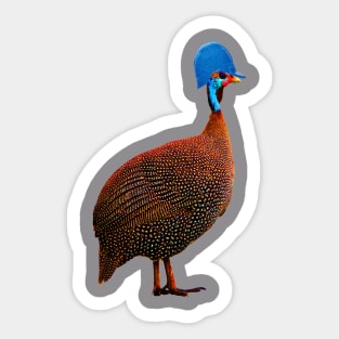 Helmeted Guineafowl Sticker